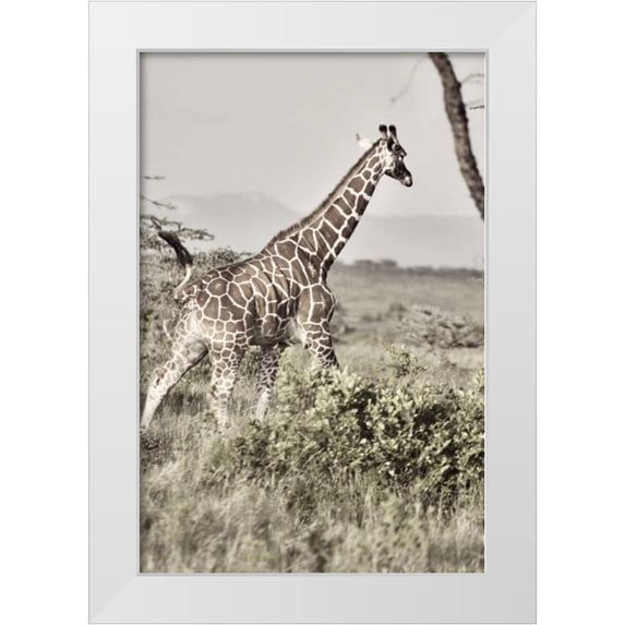 Bryant, Susan 11x14 White Modern Wood Framed Museum Art Print Titled - Sepia Giraffe