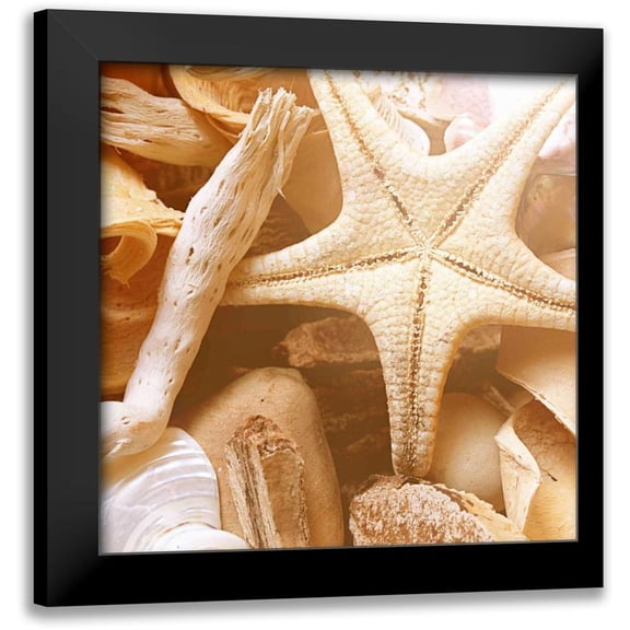 Bryant, Susan 12x12 Black Modern Framed Museum Art Print Titled - By the Seashore Square I