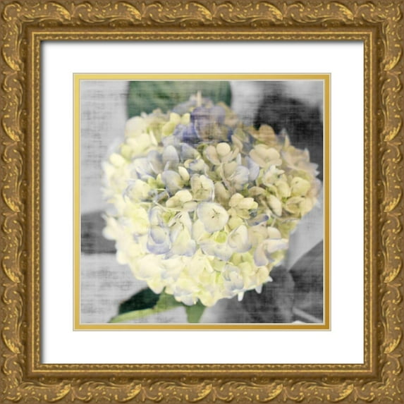 Bryant, Susan 12x12 Gold Ornate Wood Framed with Double Matting Museum Art Print Titled - White Hydrangeas II