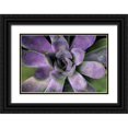 thumbnail image 1 of Bryant, Susan 14x11 Black Ornate Wood Framed with Double Matting Museum Art Print Titled - Purple Succulent II, 1 of 4
