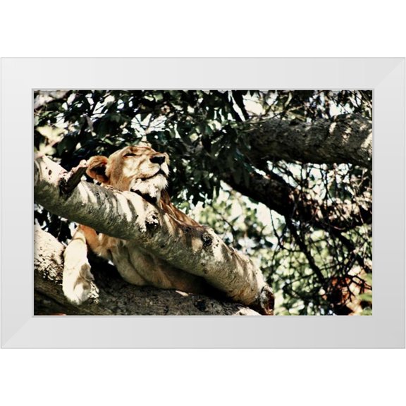 Bryant, Susan 14x11 White Modern Wood Framed Museum Art Print Titled - Lion Tree