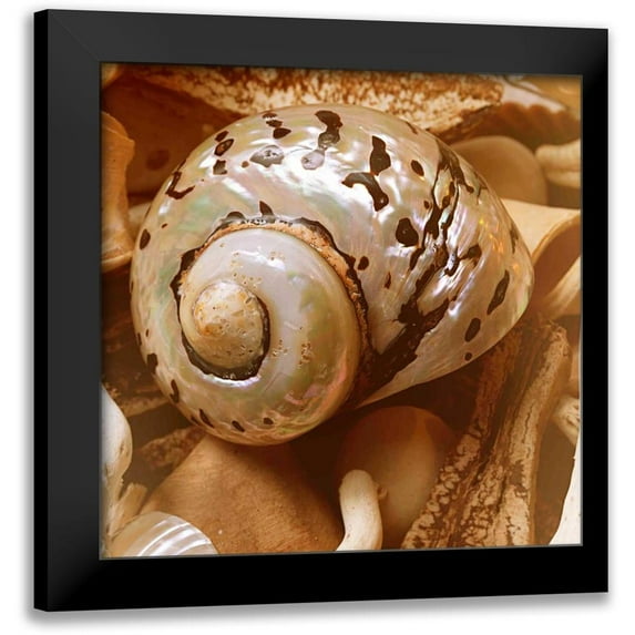 Bryant, Susan 15x15 Black Modern Framed Museum Art Print Titled - By the Seashore Square II