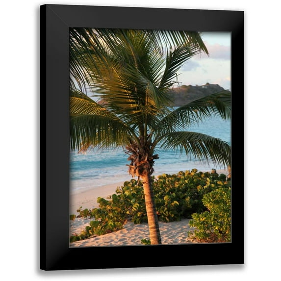 Bryant, Susan 15x18 Black Modern Framed Museum Art Print Titled - Sunset Palms I