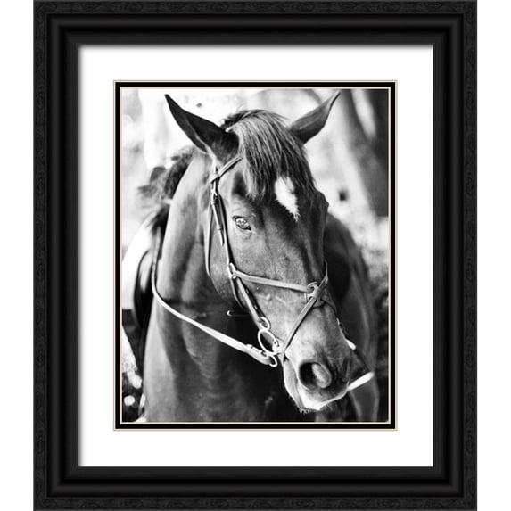 Bryant, Susan 15x18 Black Ornate Wood Framed with Double Matting Museum Art Print Titled - Derby I