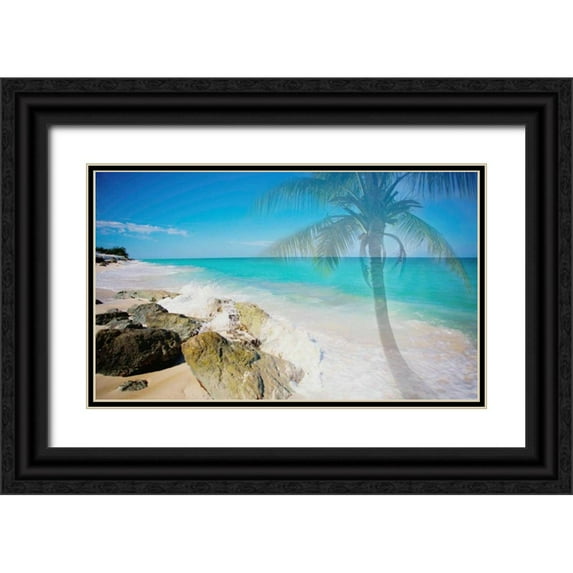 Bryant, Susan 18x12 Black Ornate Wood Framed with Double Matting Museum Art Print Titled - Palm By The Rocks