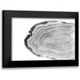 thumbnail image 1 of Bryant, Susan 18x13 Black Modern Framed Museum Art Print Titled - Watercolor BW Agate, 1 of 5