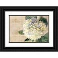 thumbnail image 1 of Bryant, Susan 18x13 Black Ornate Wood Framed with Double Matting Museum Art Print Titled - Hydrangeas II, 1 of 4