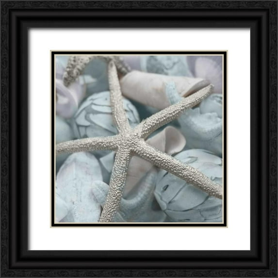 Bryant, Susan 20x20 Black Ornate Wood Framed with Double Matting Museum Art Print Titled - Seashells in Blue I