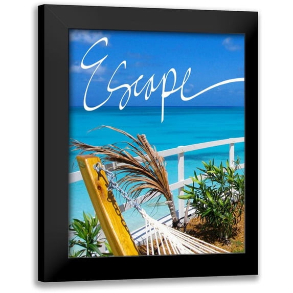 Bryant, Susan 20x24 Black Modern Framed Museum Art Print Titled - Escape