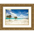 thumbnail image 1 of Bryant, Susan 24x17 Gold Ornate Wood Framed with Double Matting Museum Art Print Titled - Palms and Kites, 1 of 4