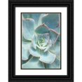 thumbnail image 1 of Bryant, Susan 24x32 Black Ornate Wood Framed with Double Matting Museum Art Print Titled - Teal Succulent Vertical, 1 of 4