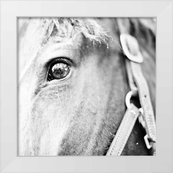 Bryant, Susan 26x26 White Modern Wood Framed Museum Art Print Titled - In the Stable I