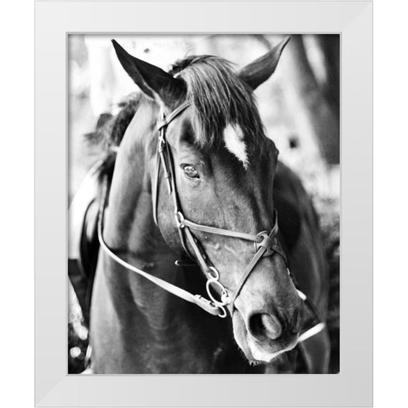 Bryant, Susan 26x32 White Modern Wood Framed Museum Art Print Titled - Derby I
