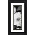 thumbnail image 1 of Bryant, Susan 9x18 Black Ornate Wood Framed with Double Matting Museum Art Print Titled - White Bloom II, 1 of 4