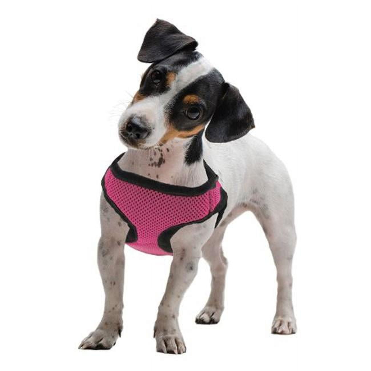 Small Dog Harness Philadelphia Phillies Made in USA Dog -  Denmark