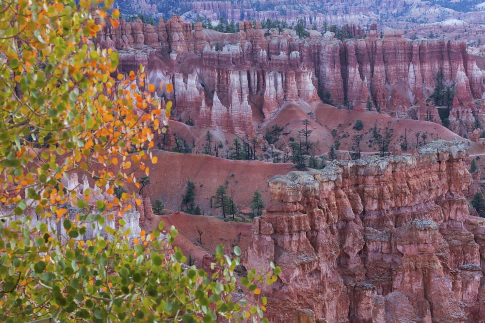 Bryce Amphitheater Bryce Canyon National Park Utah United States of America Canvas Art - Ronald Phillips Design Pics (38 x 24)