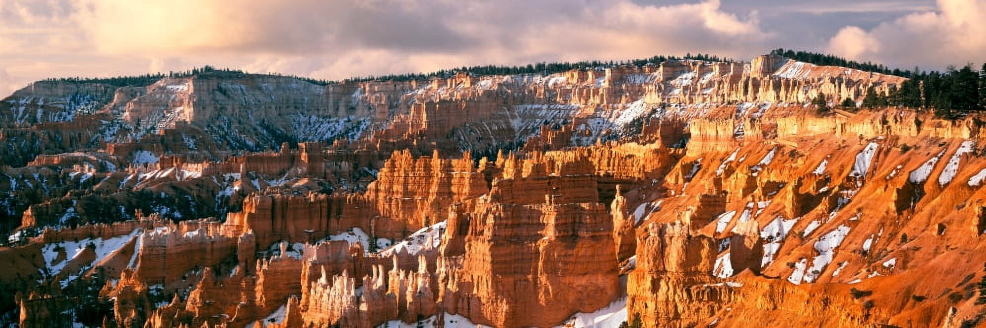 Bryce Amphitheater from Sunrise Point Bryce Canyon National Park Utah USA Canvas Art - Panoramic Images (12 x 36)