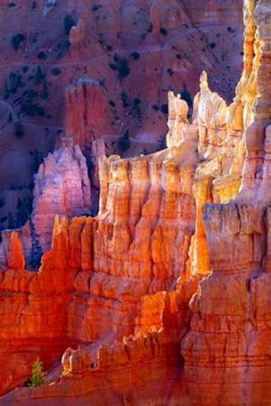 Bryce Canyon Dawn Canvas Art - Douglas Taylor (24 x 36)