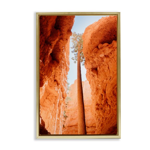 Stupell Industries Bryce Canyon Looming Cliffs Gold Framed Floater Canvas Wall Art, design by Jade Sharp Photo, 31 x 21