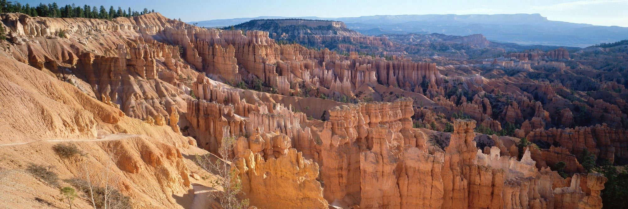 Bryce Canyon Utah Canvas Art - Panoramic Images (27 x 9)