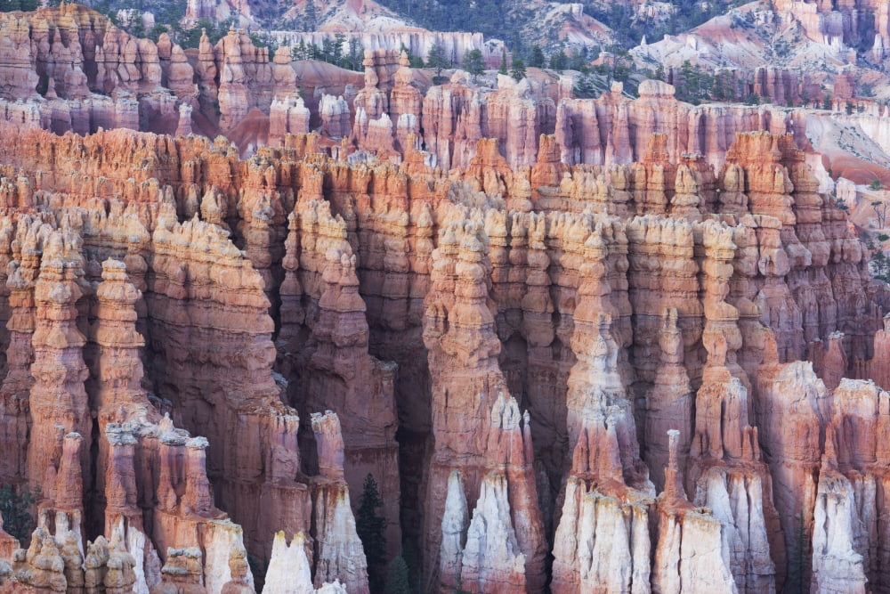 Bryce Canyon from Inspiration Point Bryce Canyon National Park Utah United States of America Canvas Art - Ronald Phillips Design Pics (19 x 12)