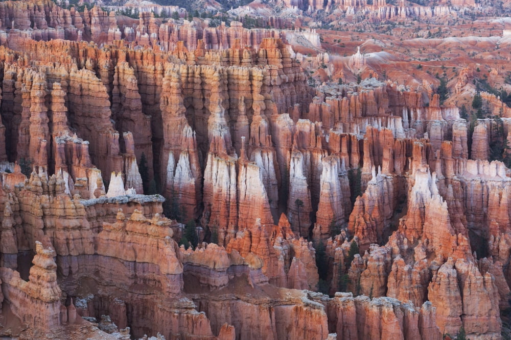 Bryce Canyon from Inspiration Point Bryce Canyon National Park Utah United States of America Canvas Art - Ronald Phillips  Design Pics (38 x 24)