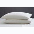 thumbnail image 1 of BrylaneHome 2-Pack Quilless Feather-Filled Pillows, 1 of 1