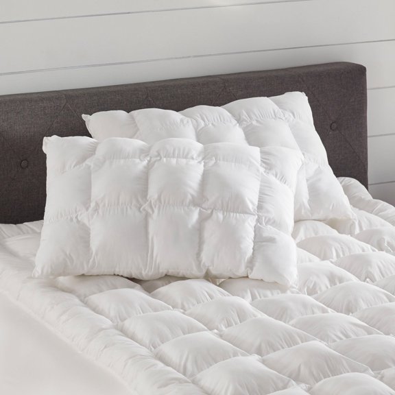 BrylaneHome 2 Piece  Pillow Set
