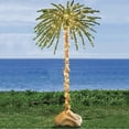 thumbnail image 1 of BrylaneHome 6'H Pre-Lit Single Palm Tree, 1 of 6
