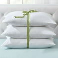thumbnail image 1 of BrylaneHome 3-Pack Pillow Set, 1 of 3