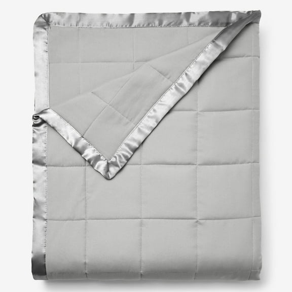 BrylaneHome Down-Alternative Blanket