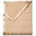 thumbnail image 1 of BrylaneHome Down-Alternative Blanket, 1 of 6