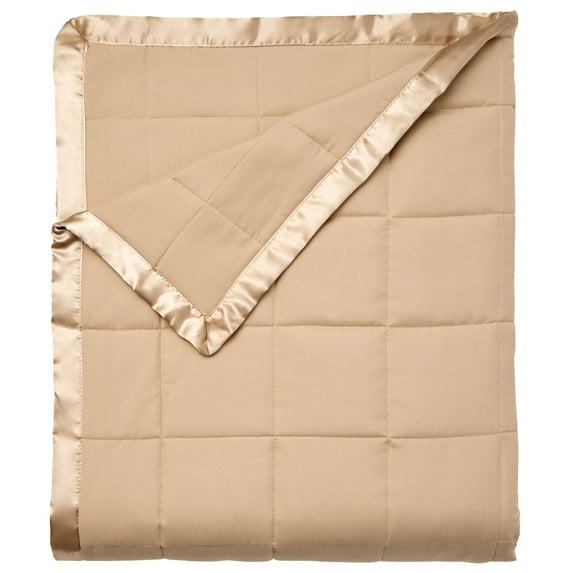 BrylaneHome Down-Alternative Blanket