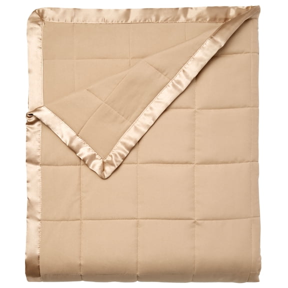 BrylaneHome Down-Alternative Blanket