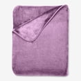 thumbnail image 1 of BrylaneHome Plush Blanket, 1 of 3