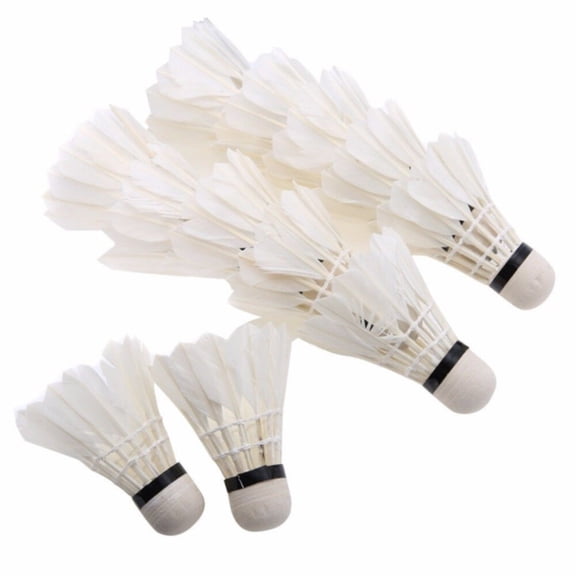 Brynna Badminton BirdiesWhite Shuttlecocks Badminton, White Badminton Ball 12 Pcs for Practice