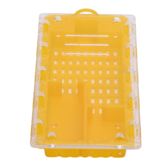 Brynna Beekeeping Supplies Plastic Queen Bee Transporting Catcher Efficiently Observes Bee Rearing Lightweight Equipment for Beekeepers