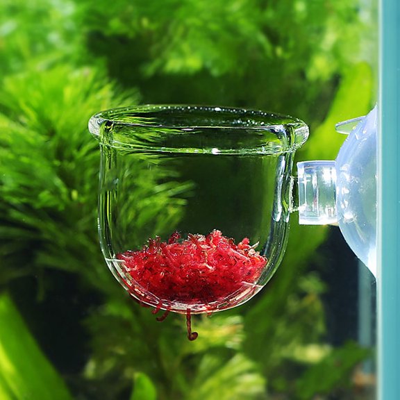Brynna Feeding Container Aquarium Transparent Aquarium Red Worm Feeder Suction Cup Fish Feeding Cup Container Accessory