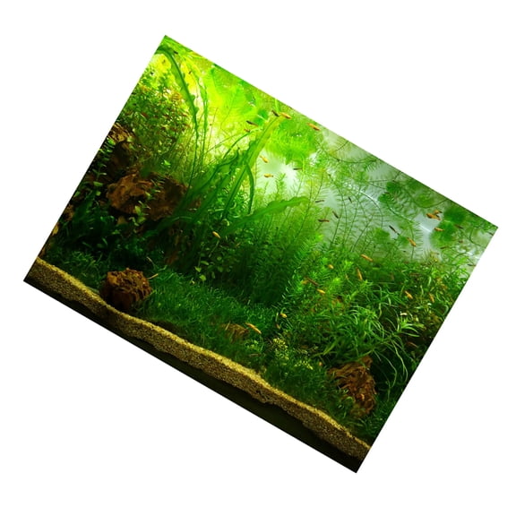 Brynna Fish Decor Paper Water Grass Style Aquarium Fish Tank Poster, Self Adhesive Background Decor Paper for Fish Tank with Several Sizes Available, Made from Thickened PVC, and Non Fade