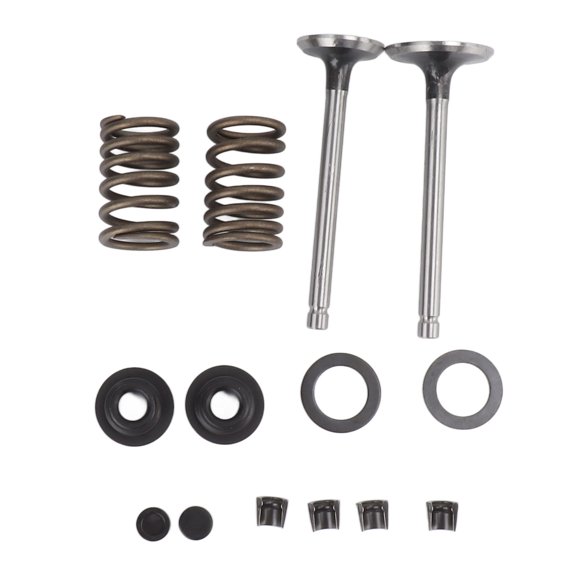 Brynna Microtiller Parts Microtiller Valve Parts, Robust Air Cooled Generator Intake Valve Iron Lightweight Easy To Install Anti Corrosion for Gardening Machinery for