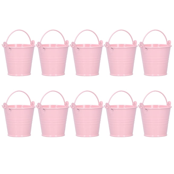 Brynna Planter MINI FLOWER POTS ELEGANT DECORATIVE PLANT BUCKET INDOOR OUTDOOR BALCONY SMALL METAL DECOR