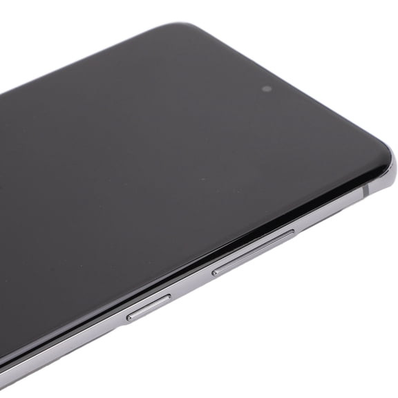 Brynna Replacement Screen for S20 Ultra Digitizer Touch Screen Assembly, Phone Screen Replacement Glass with Frame for SM-G988B/DS Gray