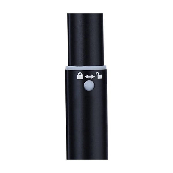 Brynna Retractable Dog Stick Extendable Dog Extendable Teaser Wand Pet Flirt Stick Pole Puppy Interactive Toy for Small Medium Large Dogs Training Playing Exercise Black