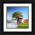 thumbnail image 1 of Brzuszek, Adam 20x20 Black Ornate Wood Framed with Double Matting Museum Art Print Titled - 4 Seasons, 1 of 4