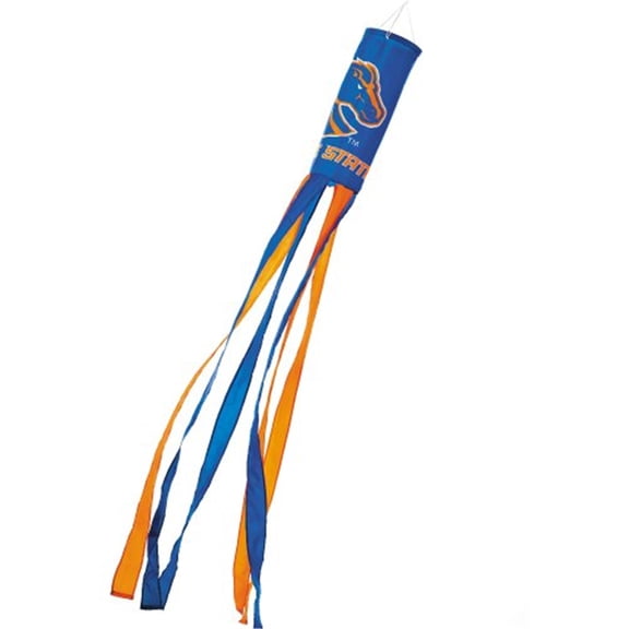 team pro-mark ncaa wind sock