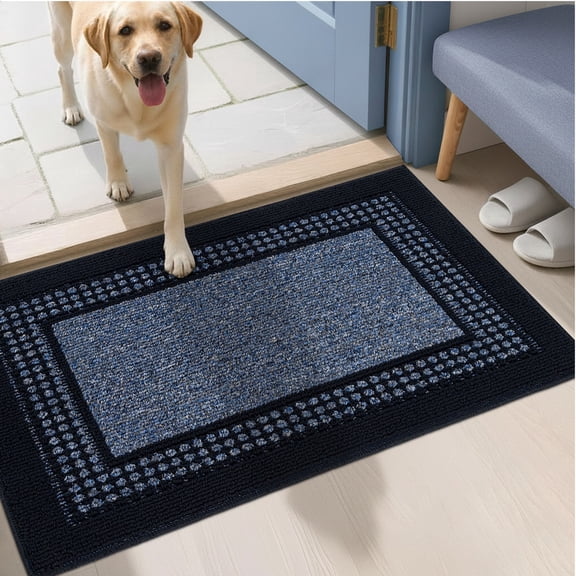 Bsicpro Door Mat, Non-Slip Entryway Rug for Front Door, Dirt Trapper Absorbent Doormat, Low Profile Indoor Entrance Mat for Home, 24" x 35",Blue