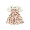 thumbnail image 1 of Bslissey 6M 9M 12M 18M 24M 3T Toddler Baby Girls Puff Short Sleeve Dress Doll Collar Strawberry Heart Print A-line Dress Infant Sweet Summer Princess Dress for Daily Party, 1 of 9