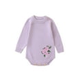thumbnail image 1 of Bslissey Baby Girls Casual Sweater Romper 3M 6M 12M 18M 24M Long Sleeve Floral Embroidery Knit Jumpsuit Newborn Infant Cute Bodysuit Knitwear Daily Clothes, 1 of 8