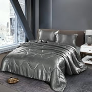 Btargot 3PCS Satin Silky Soft Comforter Set Queen Solid Luxury Lightweight Bedding Set Adult Silver