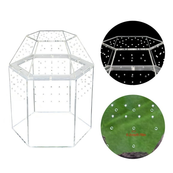 Btidfty Terrarium All-side Ventilation Reptile Breeding Box for Frog Crickets Snails